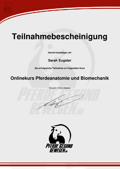 Teilnahmebescheinigung Onlinekurs Pferdeanatomie und Biomechanik