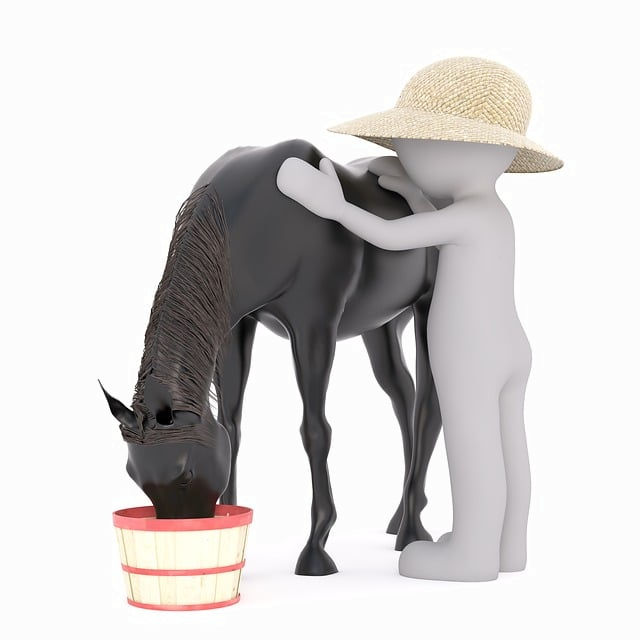 Grafik zeigt Reitcoach beim Füttern und Pflegen eines schwarzen Pferdes.