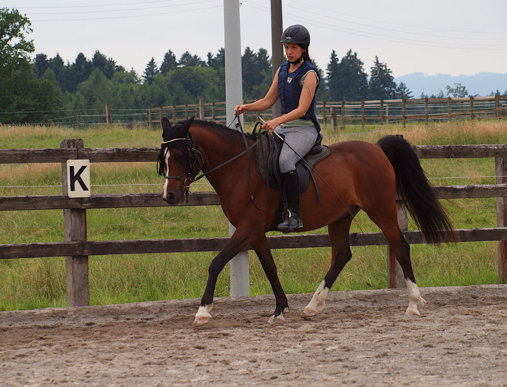 Reitcoach geniesst das angstfreie Reiten auf dem Pferd im Reitviereck